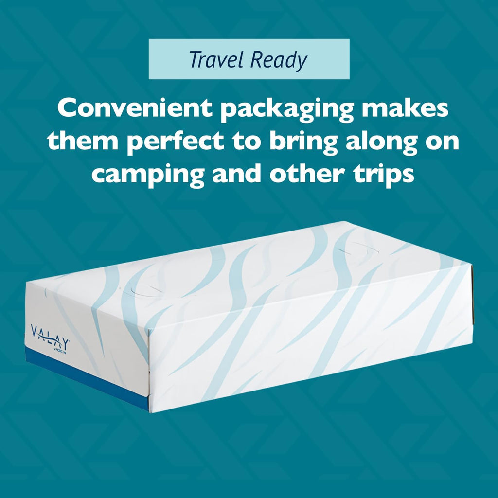Morcon Valay Facial Tissue Paper | Soft, Absorbent Hand and Face Wipes, Premium Facial Tissues Boxes for Personal Care, 30 Pack of White 2-Ply Tissues | 100 sheets Per Box