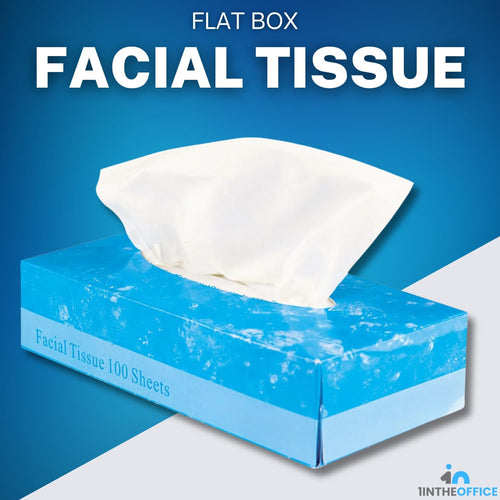 1InTheOffice Facial Tissue Paper, White Tissue, Flat Box with 100 Sheets, Soft 2-Ply, 6 Pack