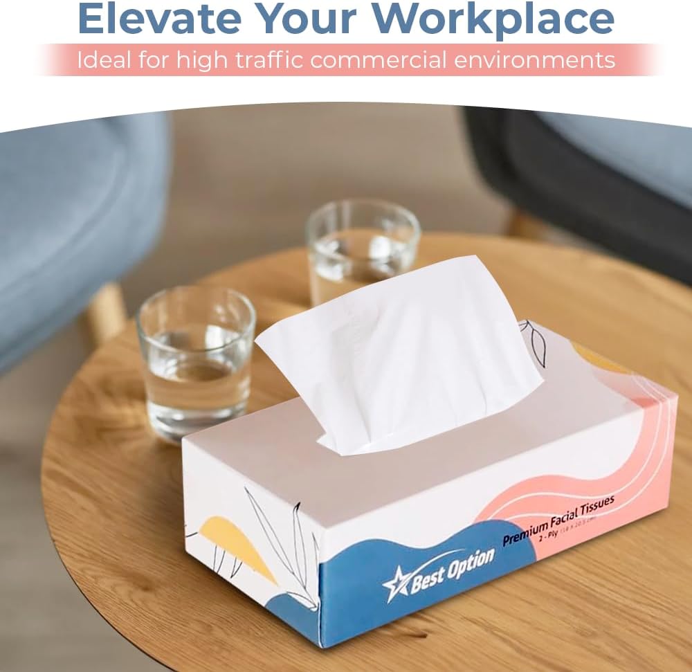 Soft 2-Ply Facial Tissue, White, 100-Count Box | Professional, Gentle and Durable | Great for Bathroom, Office, Business, School (1,200 Tissues, Bulk Pack of 12-Boxes)