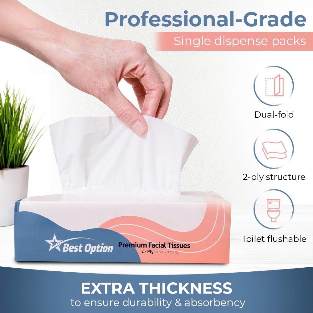 Soft 2-Ply Facial Tissue, White, 100-Count Box | Professional, Gentle and Durable | Great for Bathroom, Office, Business, School (1,200 Tissues, Bulk Pack of 12-Boxes)