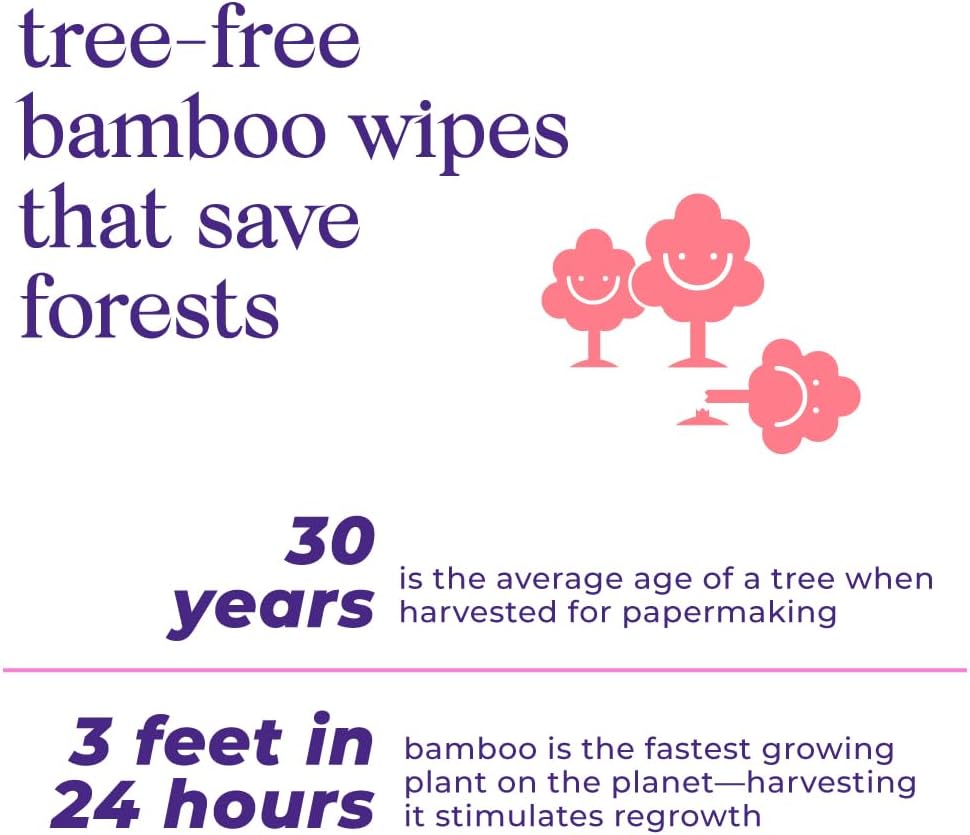 Bim Bam Boo | Flushable Wet Wipes | 100% Plant Based | Extra-Large Size Durable Bamboo | Body Safe, Smooth on Skin, Hypoallergenic | 42 Wipes Per Pouch - 8 Pouches | 366 Total Wipes