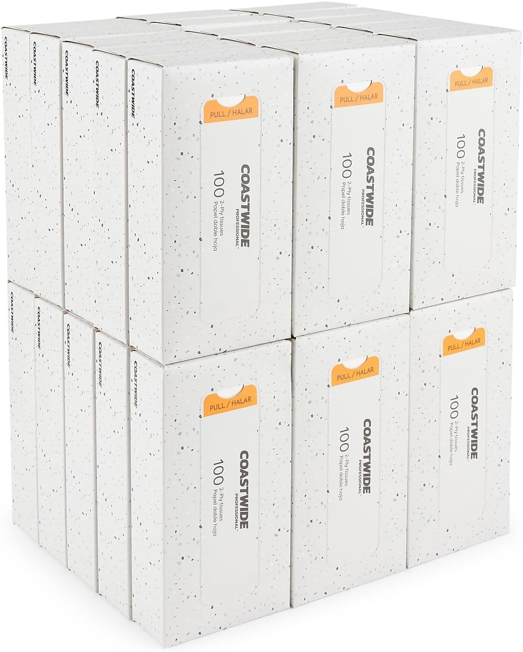 Coastwide Professional Recycled Facial Tissue, 2-Ply, 30 Boxes/Ctn