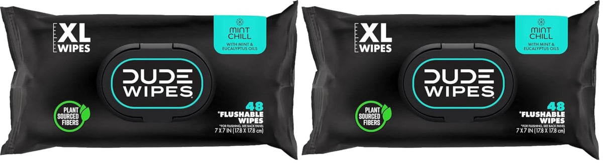 DUDE Wipes Shea BUTTer Adult Flushable Wet Wipes, Moisturizing, 144 Count