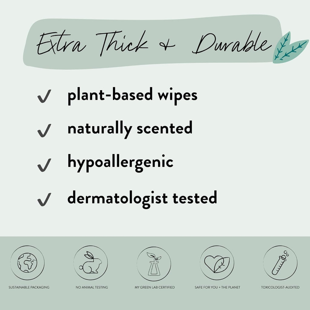 The Honest Company Benefit Wipes, Aloe + Cucumber, 240 Count