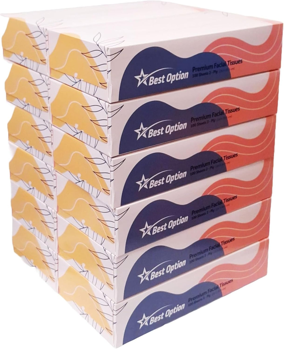 Soft 2-Ply Facial Tissue, White, 100-Count Box | Professional, Gentle and Durable | Great for Bathroom, Office, Business, School (1,200 Tissues, Bulk Pack of 12-Boxes)