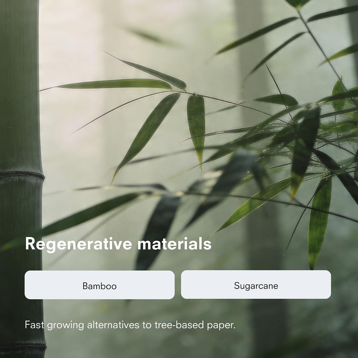 Public Goods Tree-Free Tissues | Bamboo and Sugarcane Facial Tissues | Soft 2-Ply Sheets for Sensitive Skin | Biodegradable, BPA-Free, and Eco-Friendly | 180 Sheets per Box