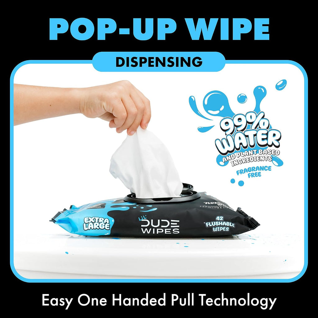 LiL' DUDE Wipes Flushable Potty Training Water Wipes, Unscented, 168 Count
