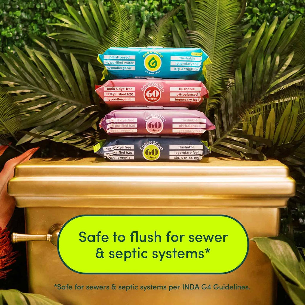 goodwipes Flushable Butt Wipes Made with Vitamin E & Aloe - Soft & Gentle Wet Wipe Dispenser for Home Use, Septic & Sewer Safe - Largest Adult Toilet Towelettes - Shea-Coco, 180 Count (3 Packs)