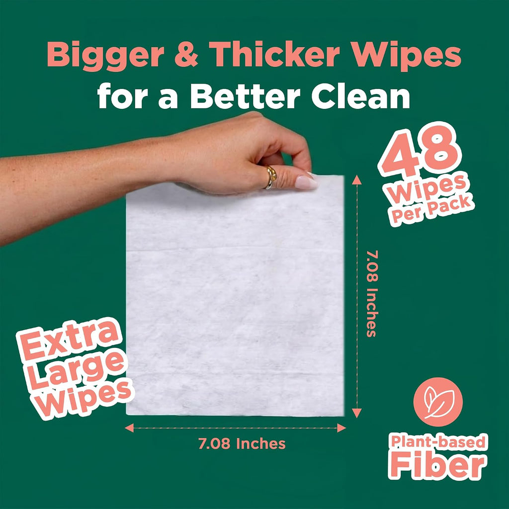 ECO SOUL Bamboo Flushable Wipes, (4 Pack, 48 Wipes Each, Aloe Vera)