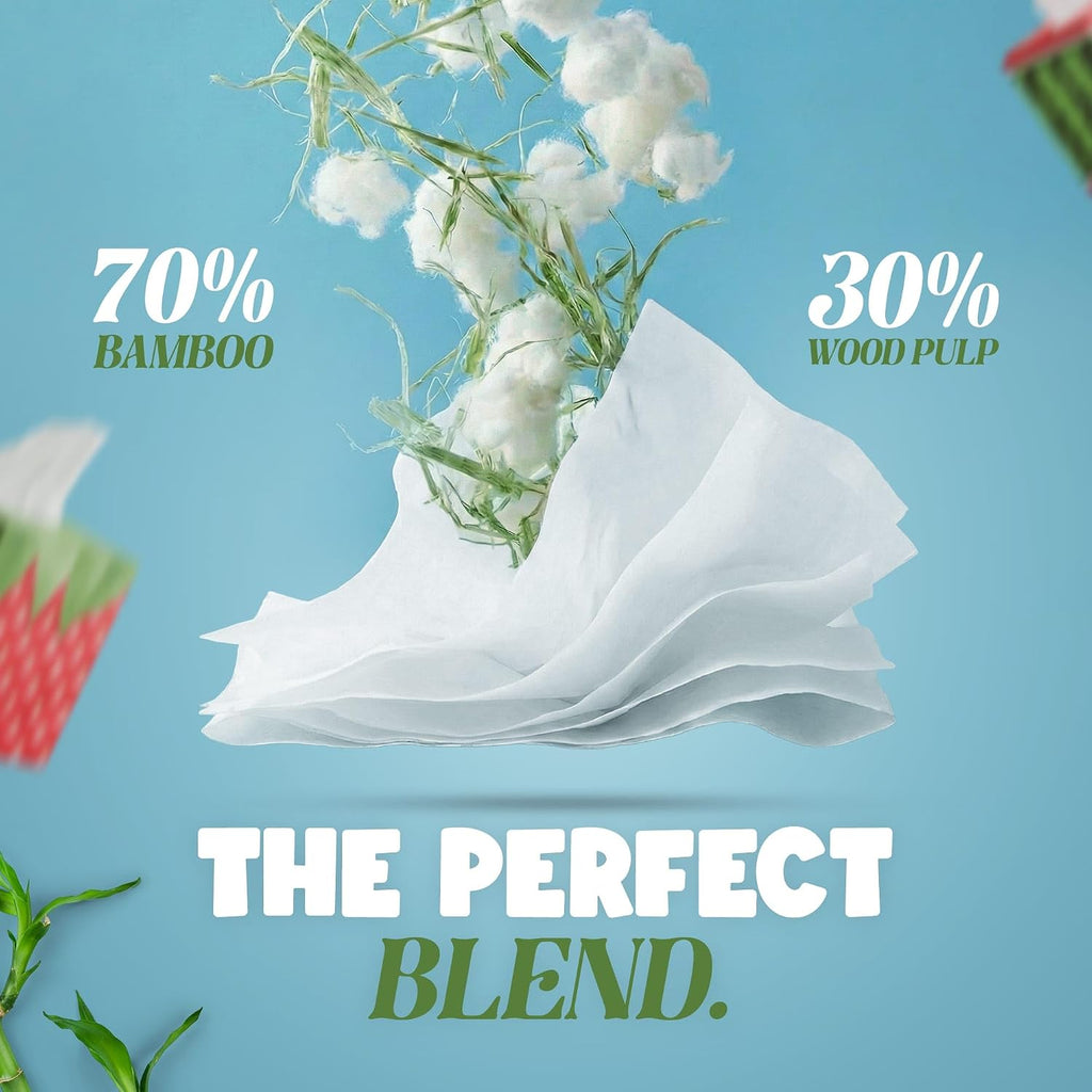 Gaias Premium Bamboo Facial Tissues, 12 fruit boxes, 3 Ply, 80 Sheets/Box - Made From Bamboo, Zero Plastic Packaging, Eco-Friendly, Sustainable, Non-Lotion