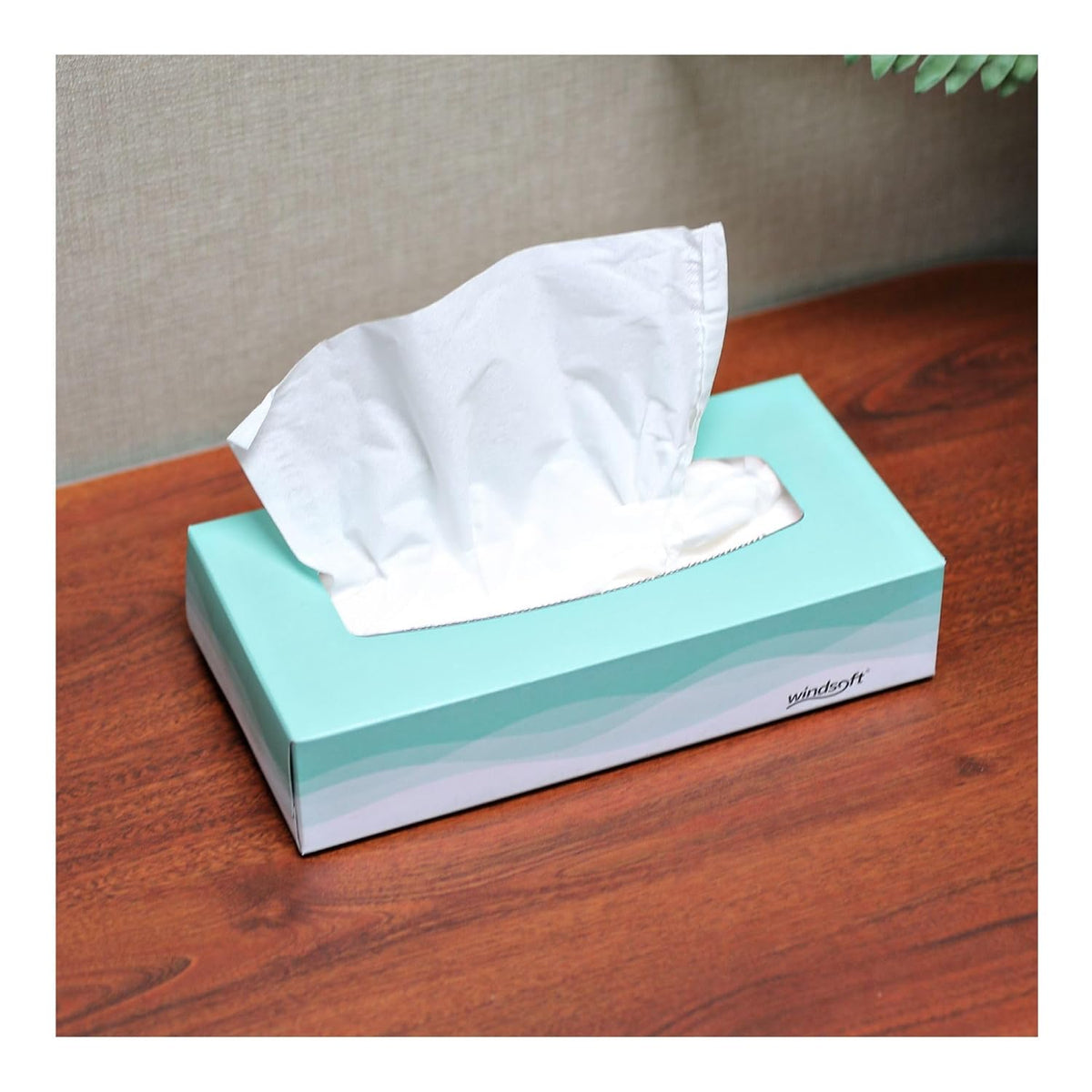 Windsoft 2360 Facial Tissue in Pop-Up Box, Box of 100 (Case of 30 Boxes)