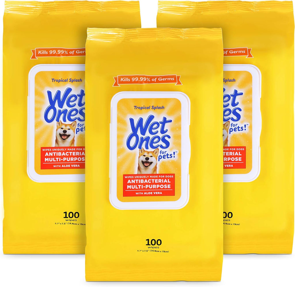 Wet Ones for Pets Multipurpose Dog Wipes with Aloe Vera, Tropical Splash Scent - Pet Bathing Wipes with Wet Lock Seal for Dog Paws and All-Over Use, 100 Count - 3 Pack