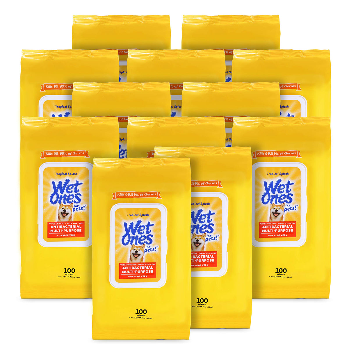 Wet Ones for Pets Multipurpose Dog Wipes with Aloe Vera, Tropical Splash Scent - Pet Bathing Wipes with Wet Lock Seal for Dog Paws and All-Over Use, 100 Count - 3 Pack