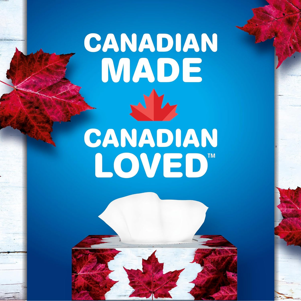Scotties Facial Tissue, 2-ply, 126 sheets per box - 6 Pack (Canadian)