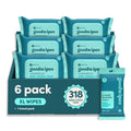 goodwipes Flushable Wipes (6 Pack) (50 Count (Pack of 6), Shea-Coco)