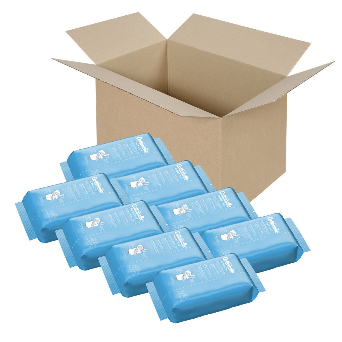 Cottonelle Fresh Care On-The-Go Flushable Wipes, 24 Packs, 14 Wipes per Pack